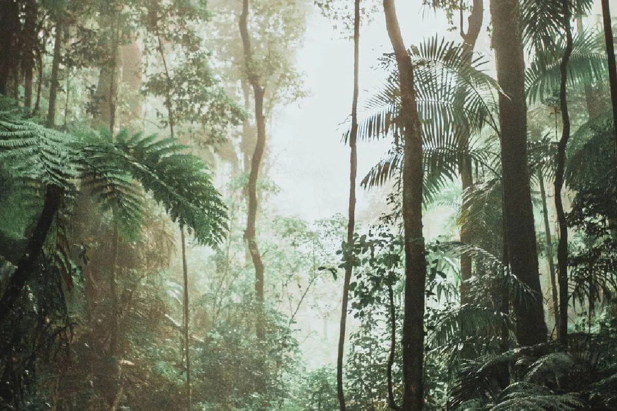 Is the first earth age concept biblical? What is the idea of the first earth age?