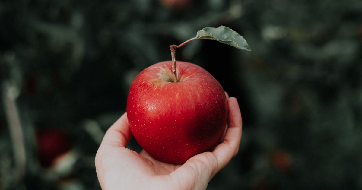 Was Adam and Eve's sin really about eating forbidden fruit?