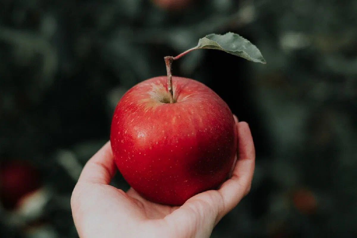 Was Adam and Eve's sin really about eating forbidden fruit?