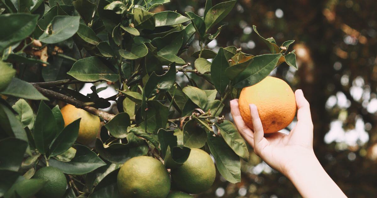 What is meant by being a fruitful Christian?