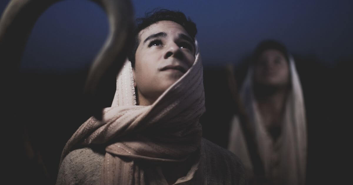 Why do Matthew and Luke have different genealogies of Jesus?