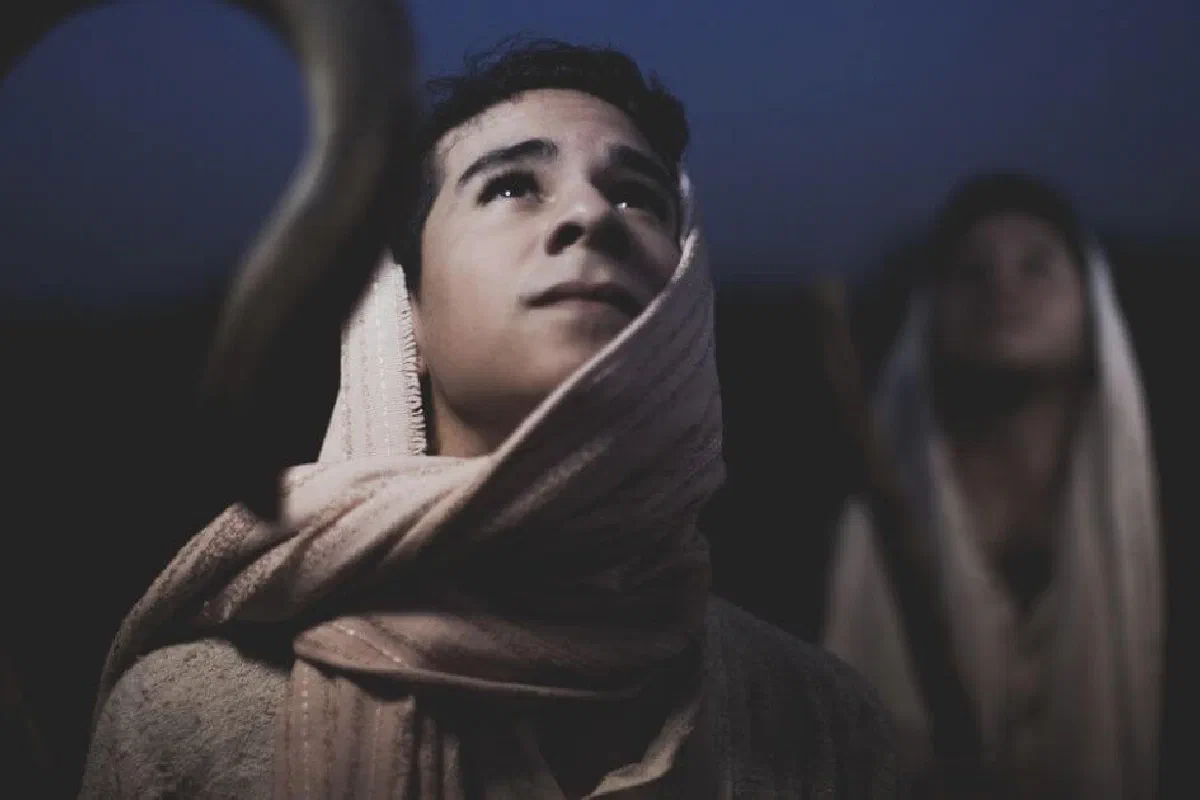Why do Matthew and Luke have different genealogies of Jesus?