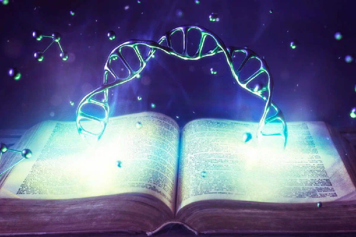 What is a genetic fallacy?