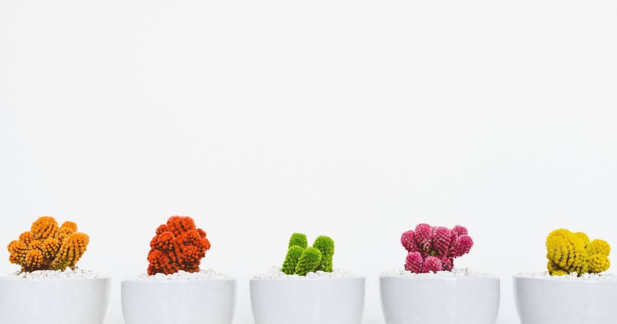 The spiritual gift of miracles – What is it?