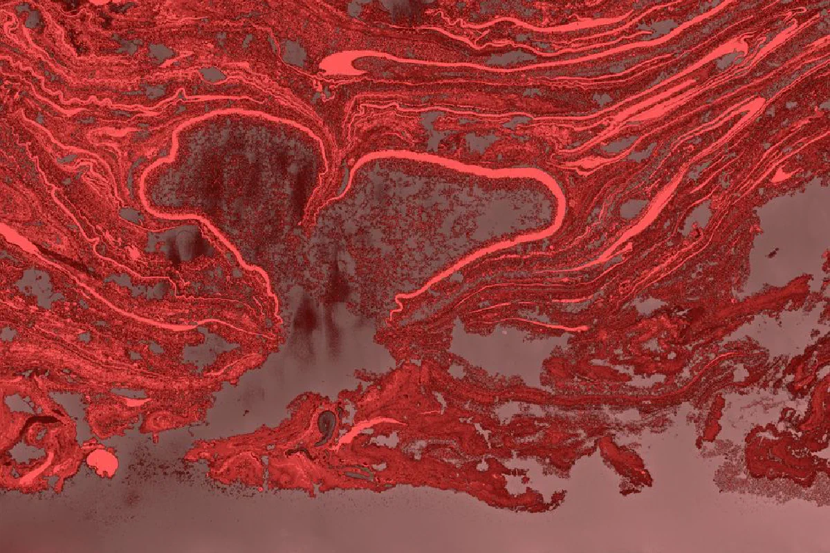 Vibrant red abstract artwork with dynamic brushstrokes, ideal for modern decor.