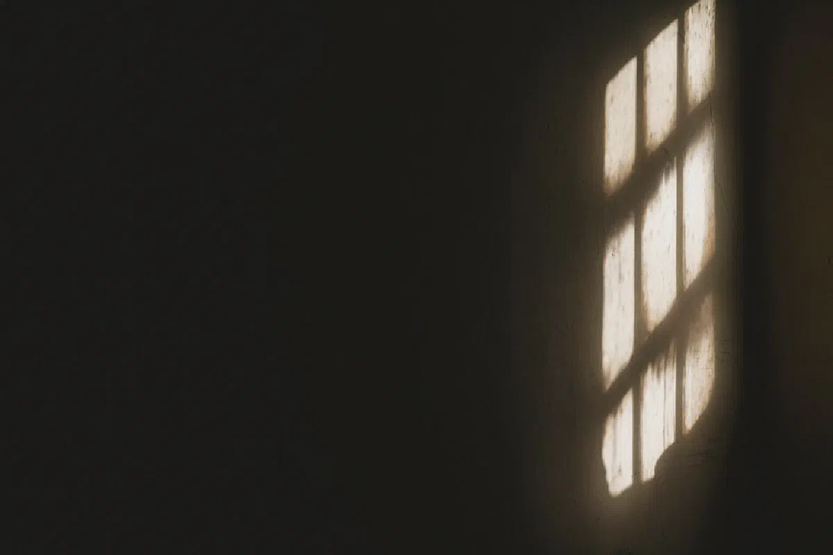 Sunlight casting window shadows on a dark wall creates a dramatic effect.