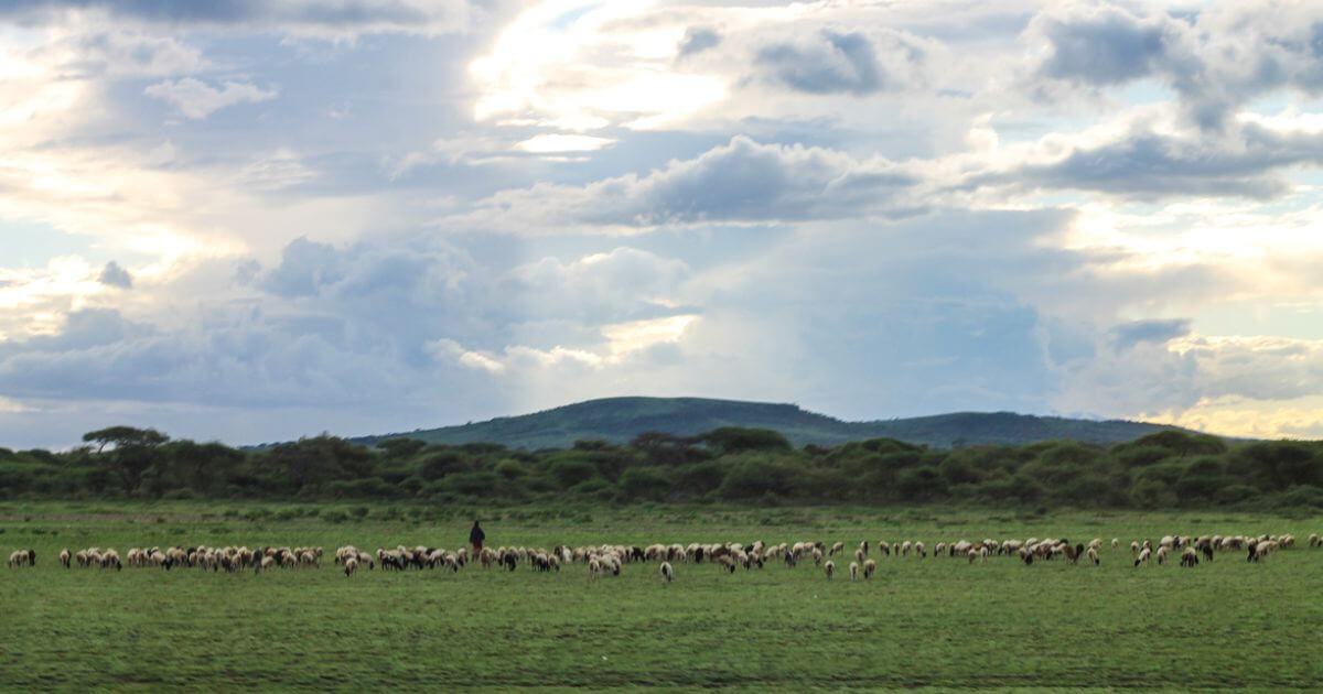 What is The significance of high places in the Bible?