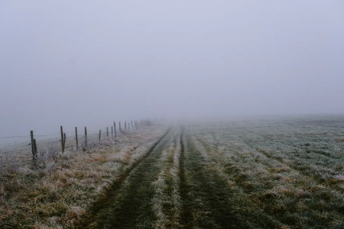Eerie misty field with frosty grass and a wooden fence stretching into the fog.
