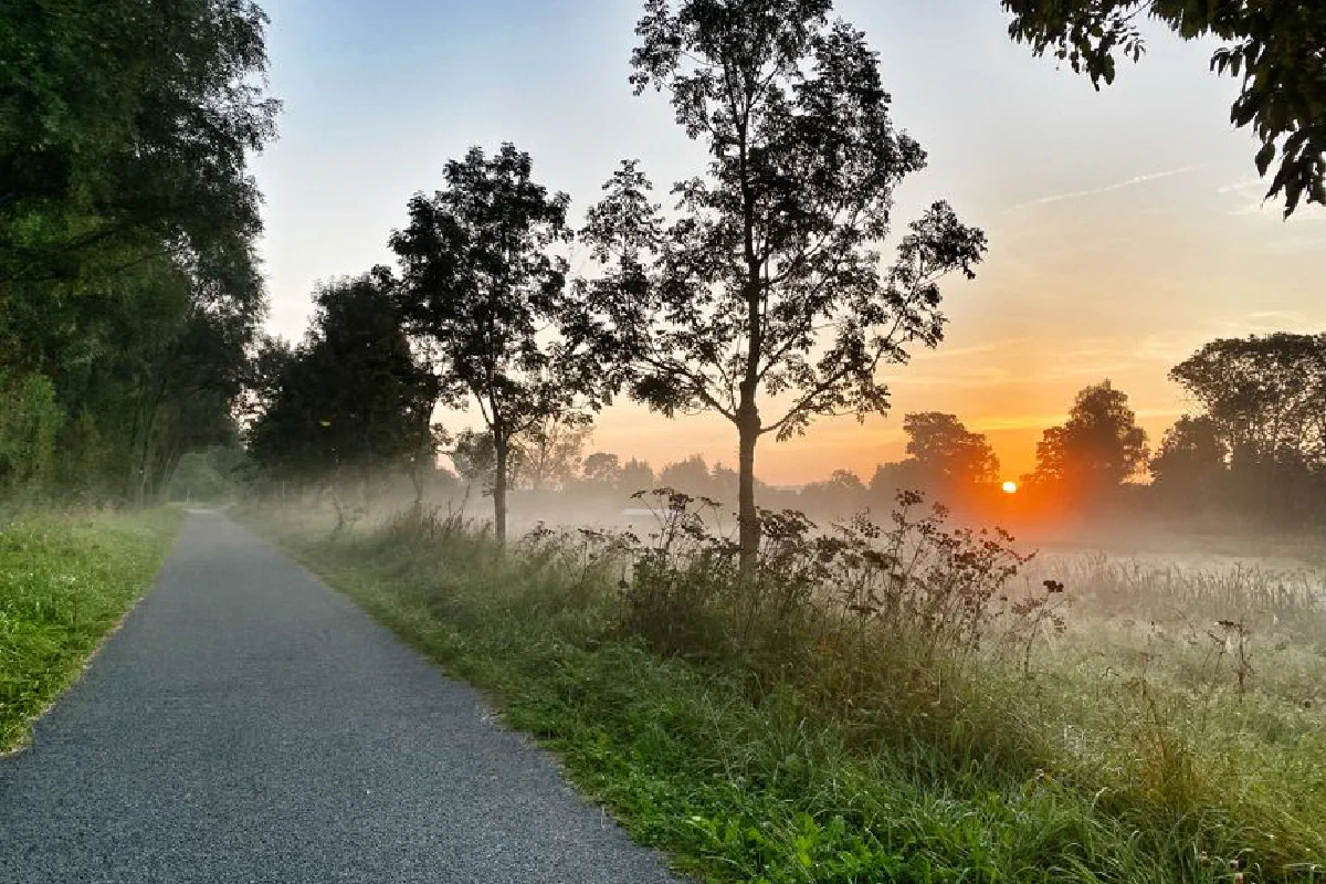 A tranquil foggy morning scene with a pathway and trees at sunrise in Oudenaarde, Belgium.