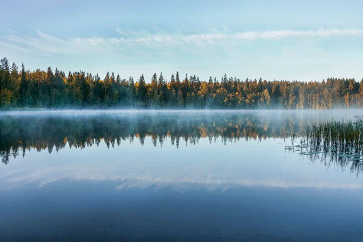 A tranquil Finnish lake reflects the forest and morning mist at sunrise.