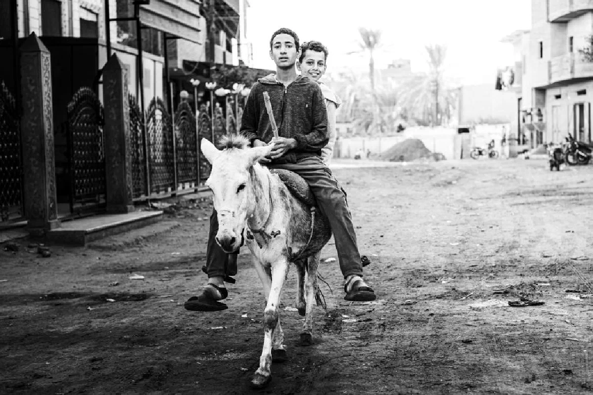 Two boys riding a donkey through a street in a typical Egyptian setting, captured in black and white.