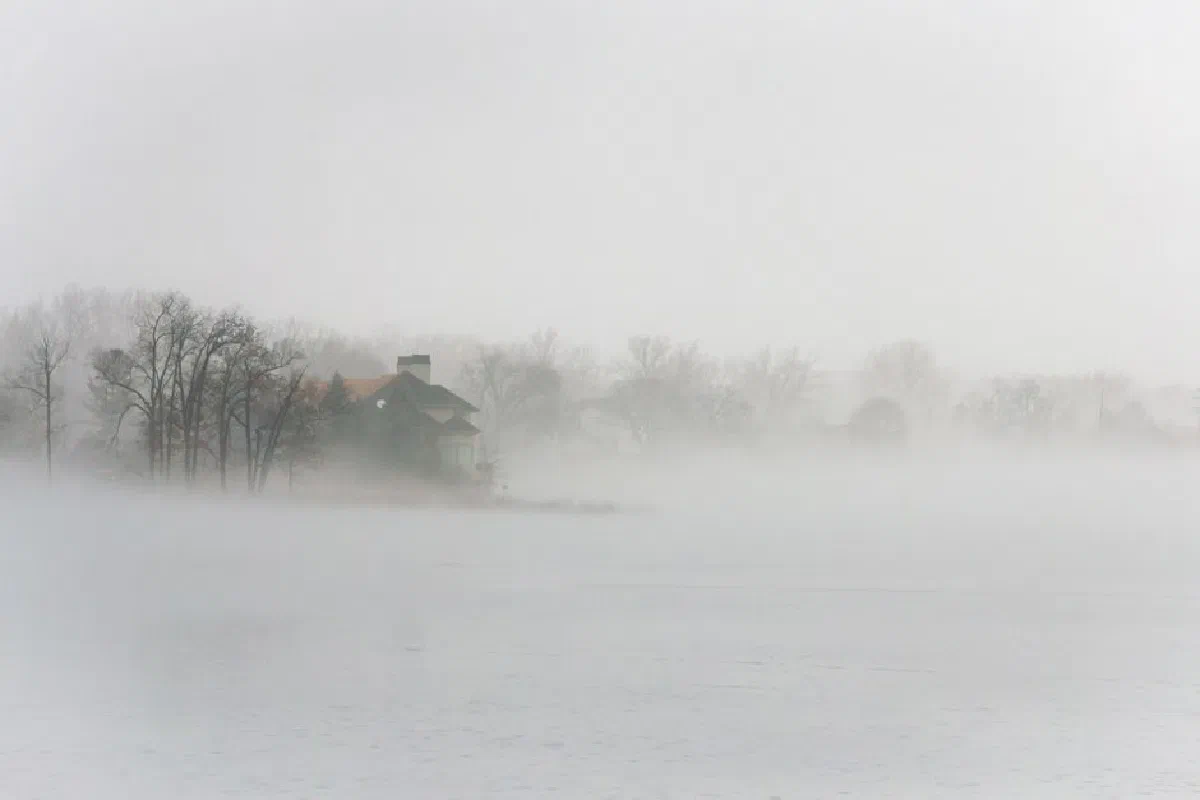 A misty winter landscape with trees and a house enveloped by fog over a calm lake.