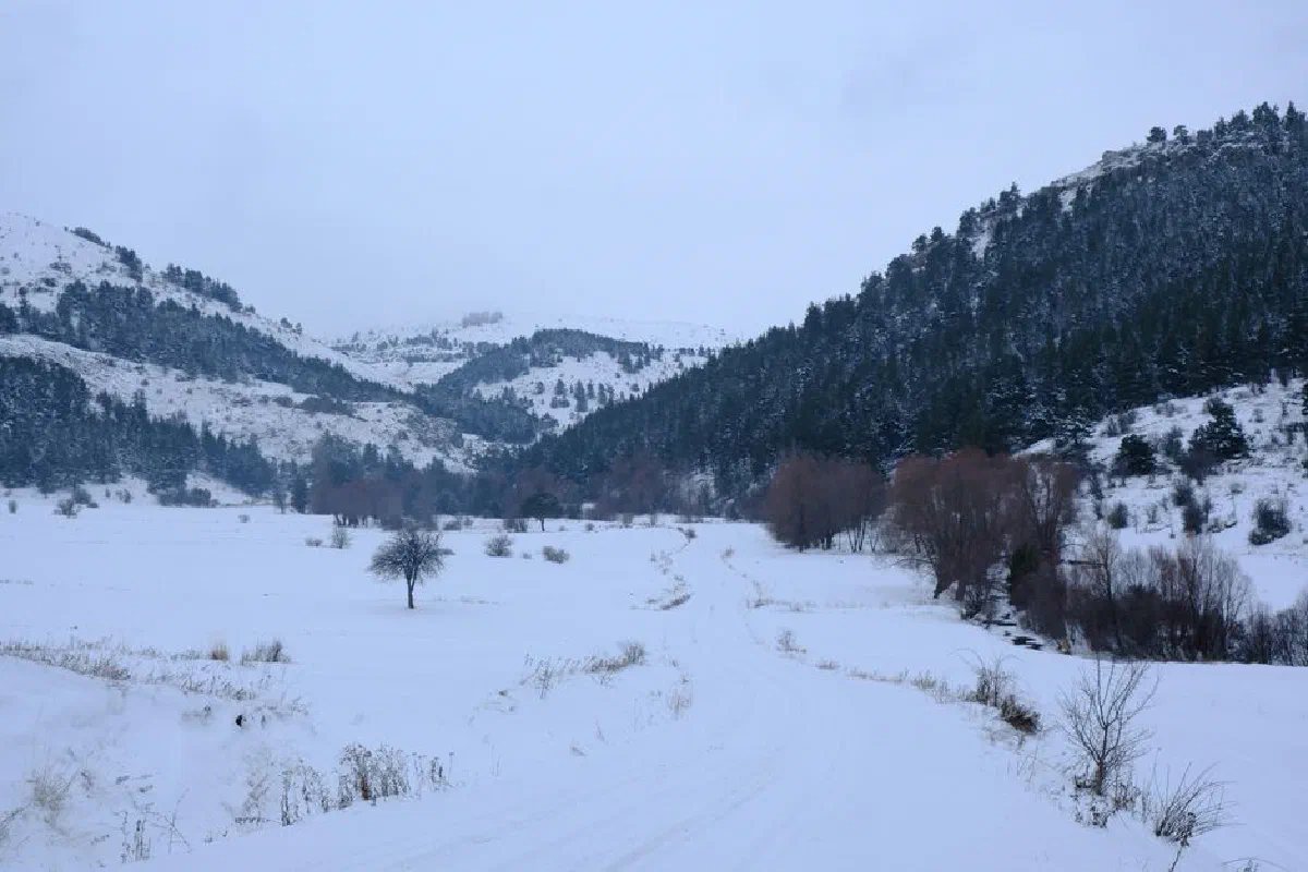 Peaceful winter scene with snow-covered mountains and a winding path through the valley.