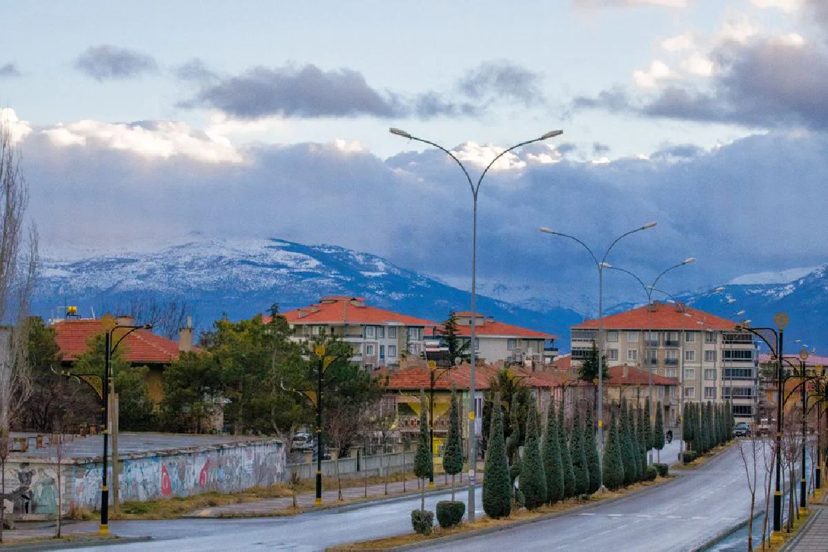 A picturesque townscape featuring residential buildings with red roofs, trees, and distant snow-capped mountains.