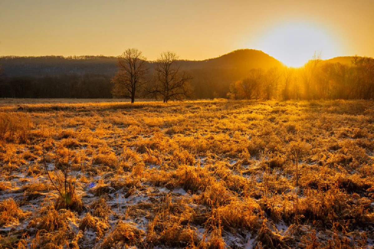 Capture of a colorful winter sunrise over a frosty field near Weaver, Minnesota, USA.