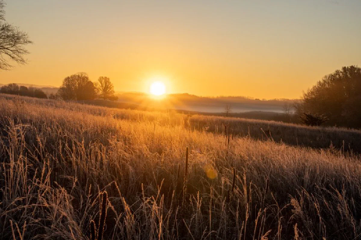 Peaceful sunrise over frost-covered fields in West Newton, MN, USA.
