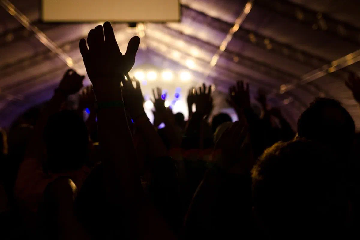 A vibrant concert scene with a cheering crowd and dynamic lighting.