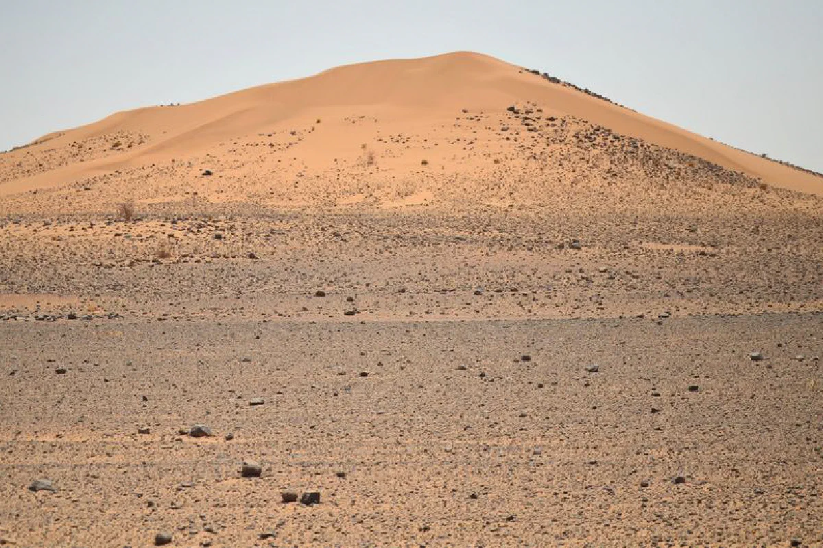 Vast arid desert landscape with sandy dunes and scattered rocks under a clear blue sky.