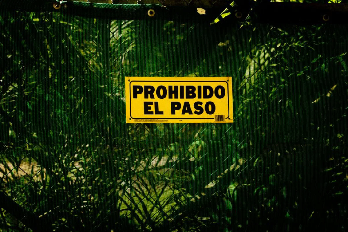 A yellow 'Prohibido El Paso' sign against vibrant green foliage, conveying restriction.