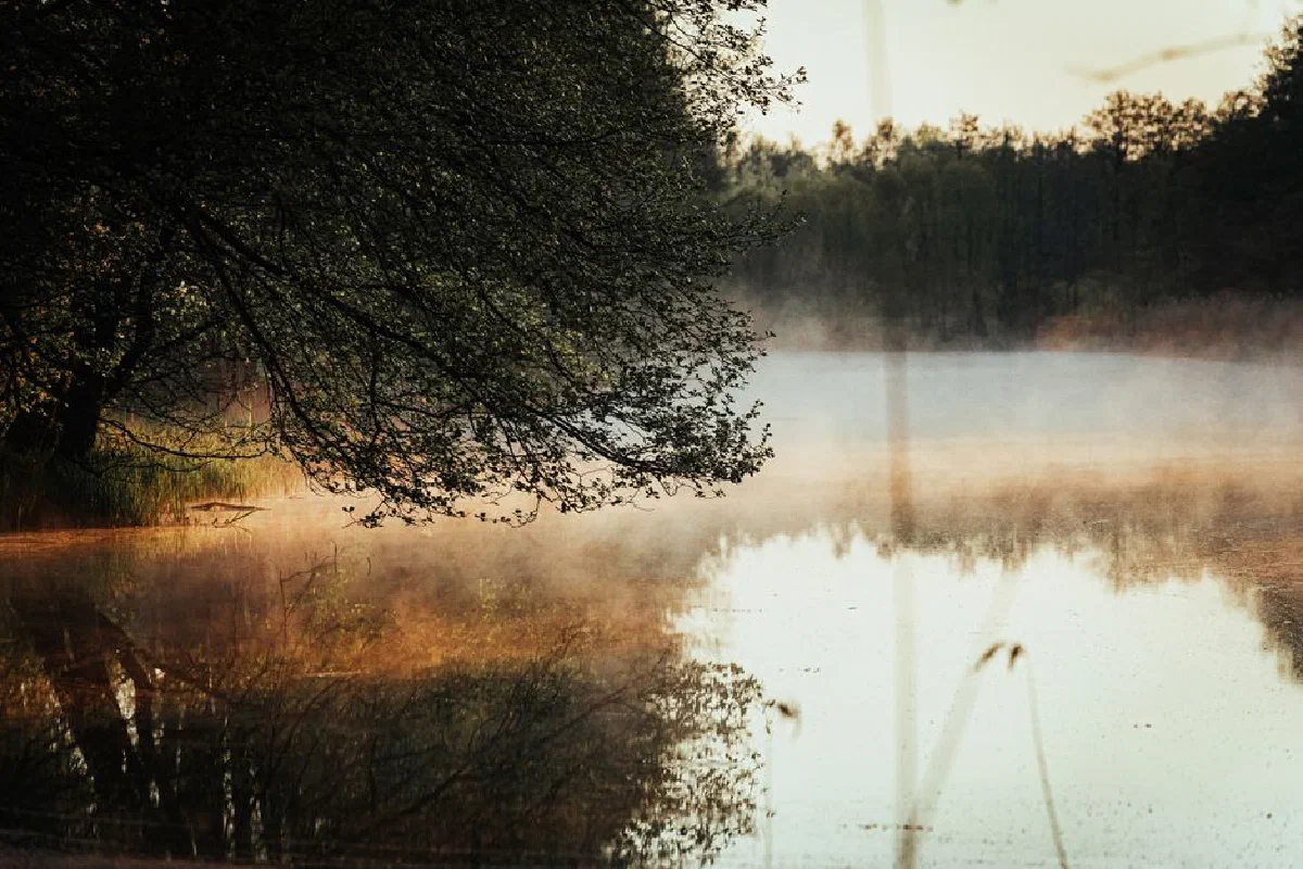 Serene misty lake with forest reflection at sunrise in Liepāja, Latvia.