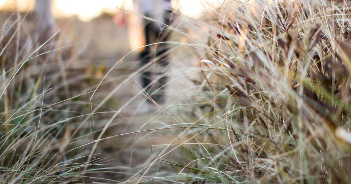 What did Jesus mean when He said, 'If you love me, you will keep my commandments'?