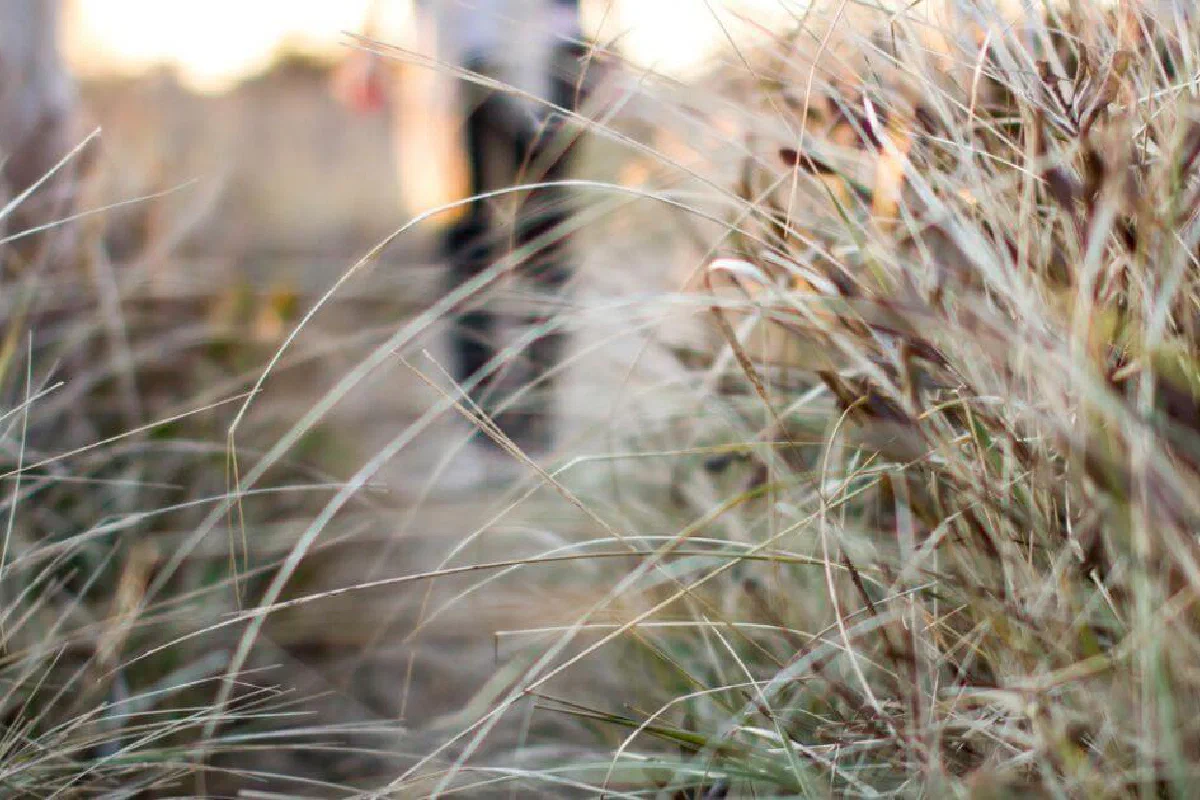 What did Jesus mean when He said, 'If you love me, you will keep my commandments'?