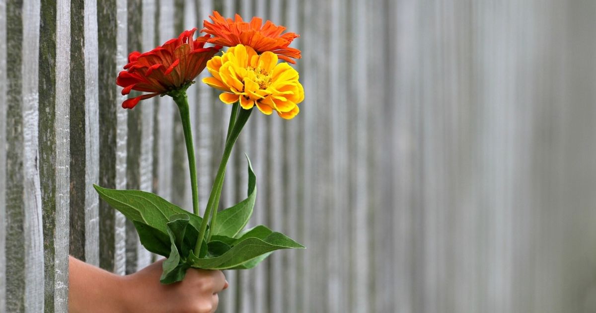 What is impartation?