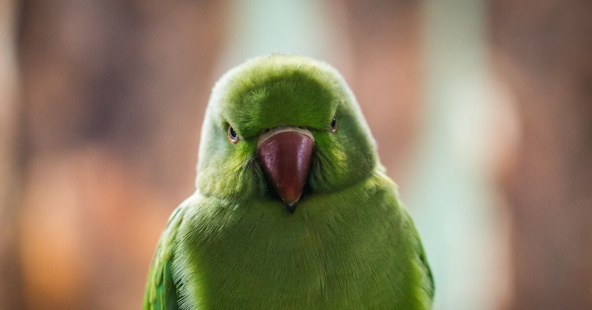 What does Ephesians 4:26 mean when it says in your anger do not sin?