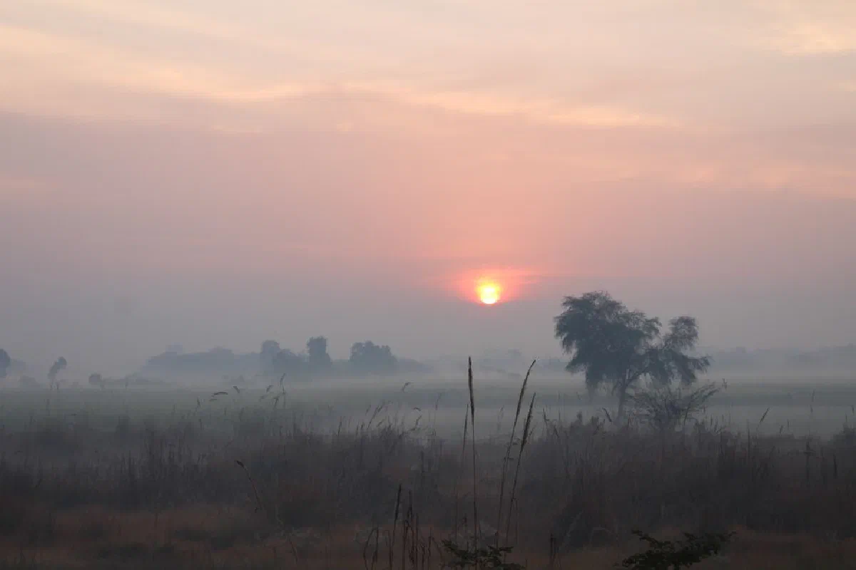 Peaceful sunrise over a foggy meadow landscape with silhouetted trees.