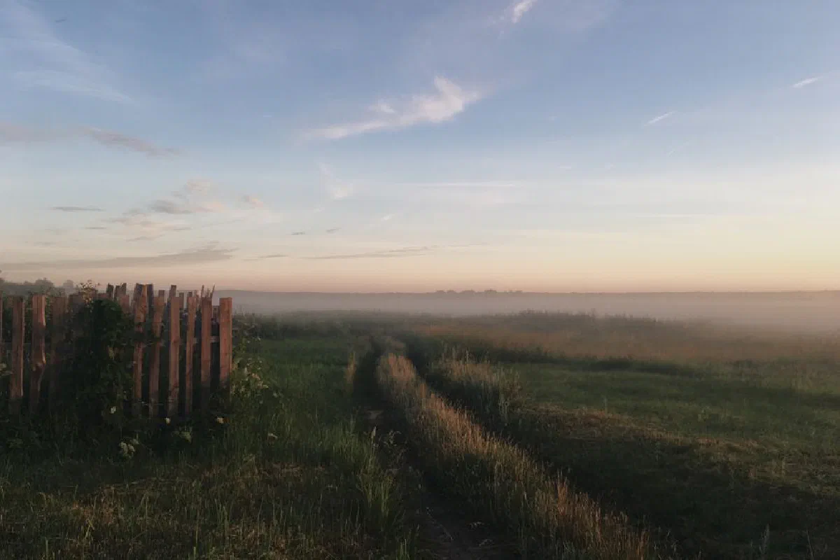 Peaceful rural landscape with a misty field and wooden fence at sunrise.