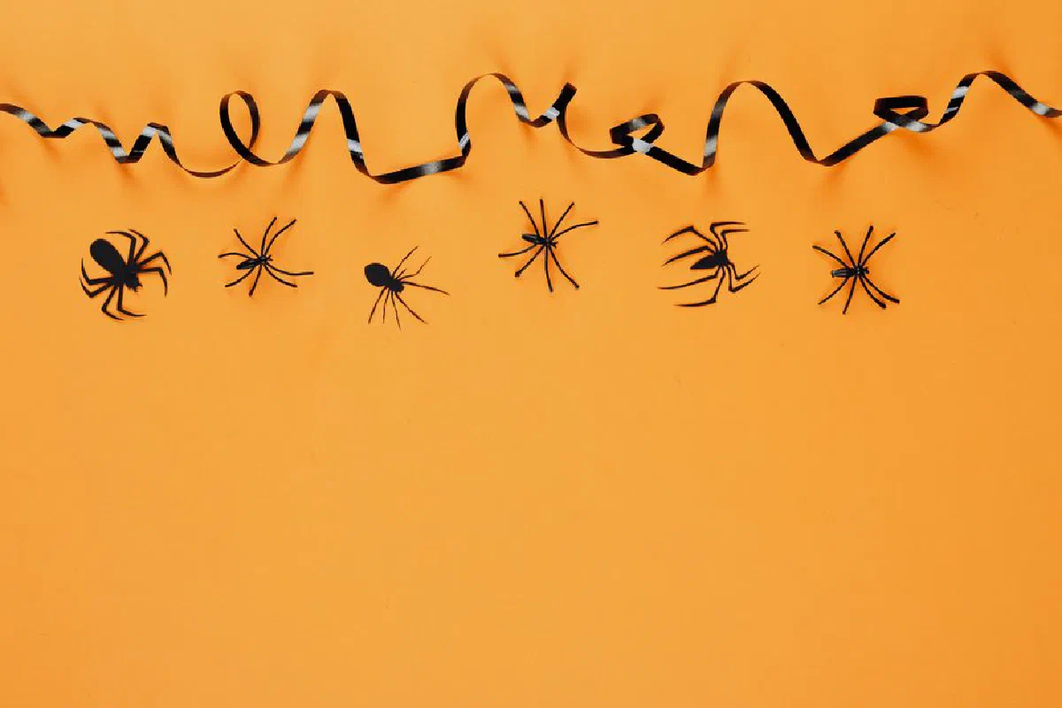 Creative Halloween design with spider cutouts on orange background and ribbon tape.