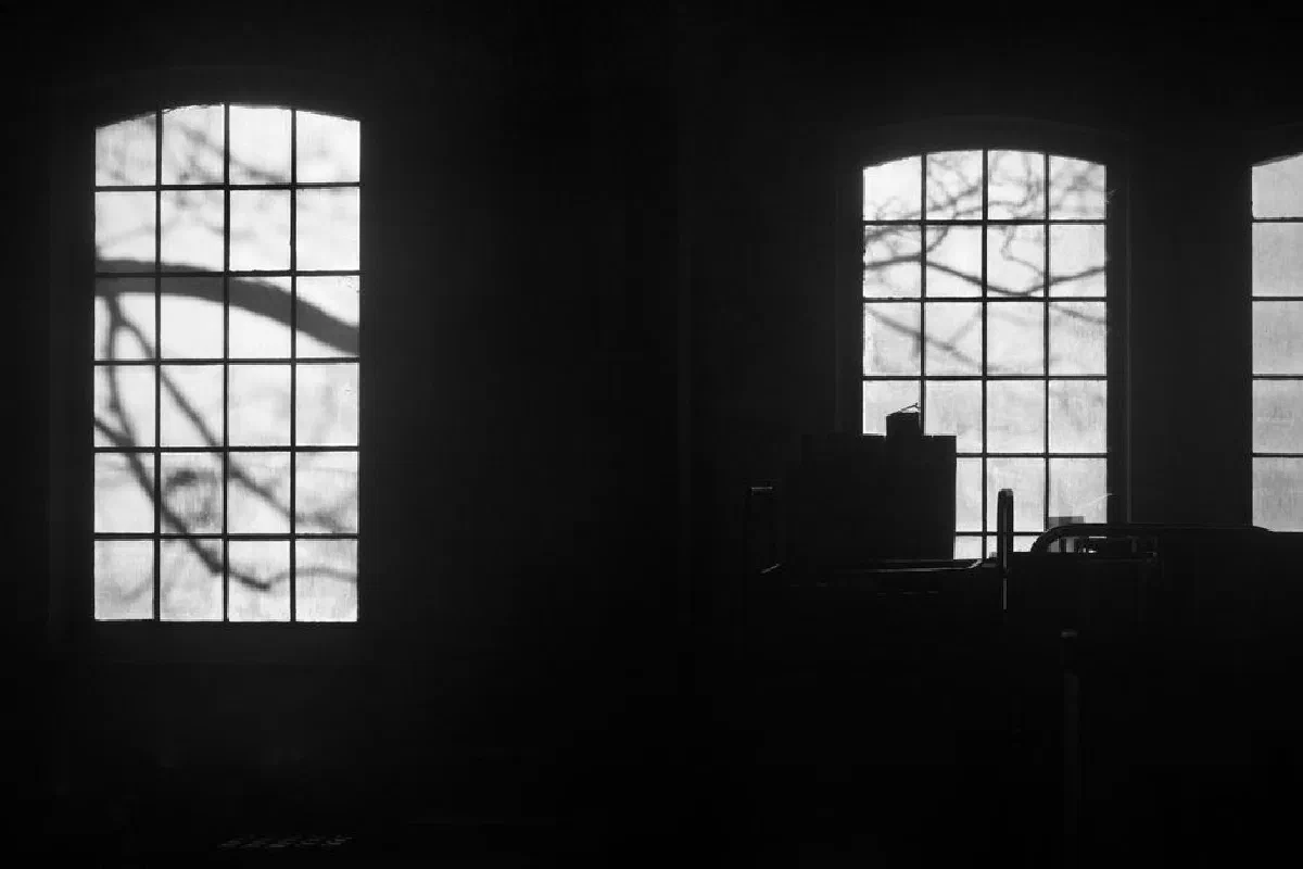 Silhouette of window with tree shadows in a dark, moody interior setting.