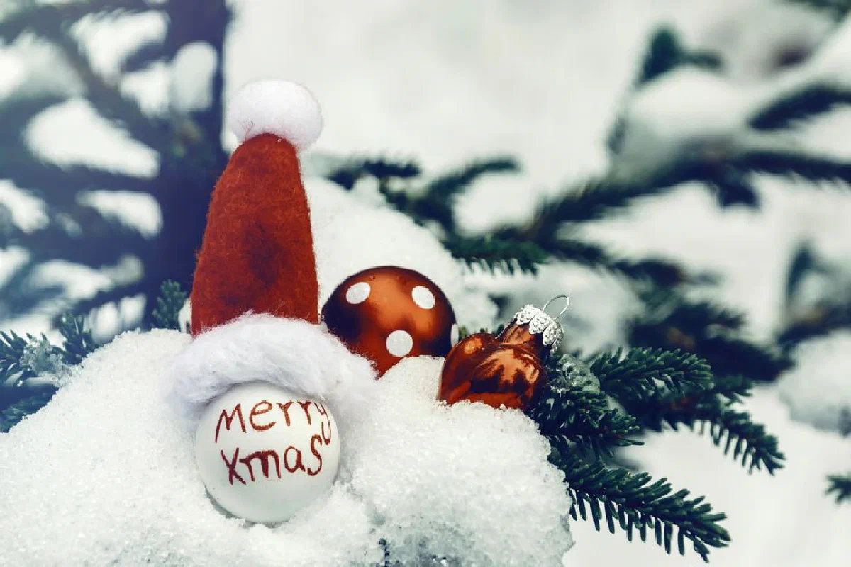 Christmas ornaments on snow-covered branches, perfect for festive and winter themes.