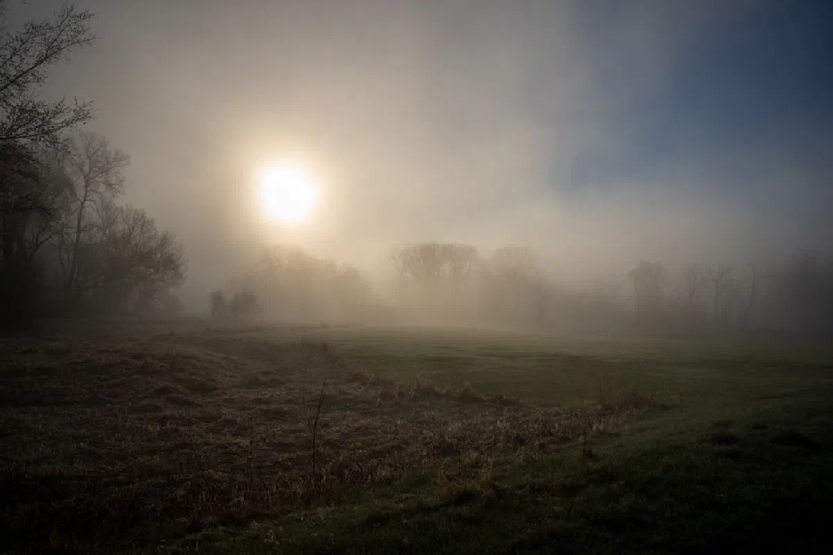 Sunrise over a misty field with trees in Weaver, Minnesota, creating a serene atmospheric scene.