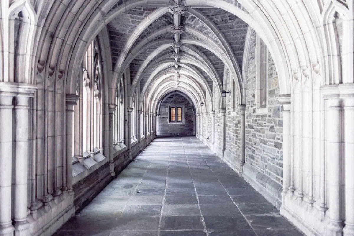 A serene view of a gothic-style stone corridor with vaulted arches in a historic building.