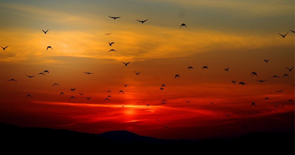 Is the Holy Spirit God?