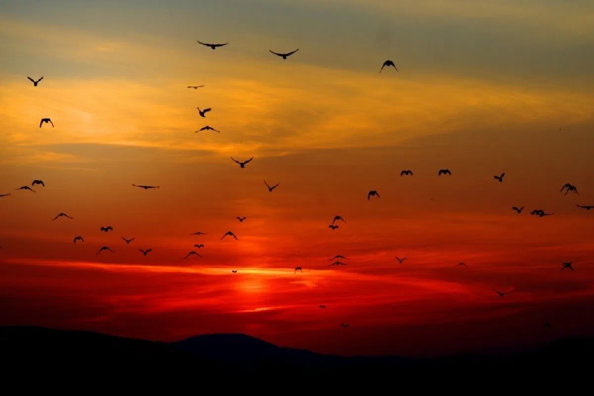 Is the Holy Spirit God?