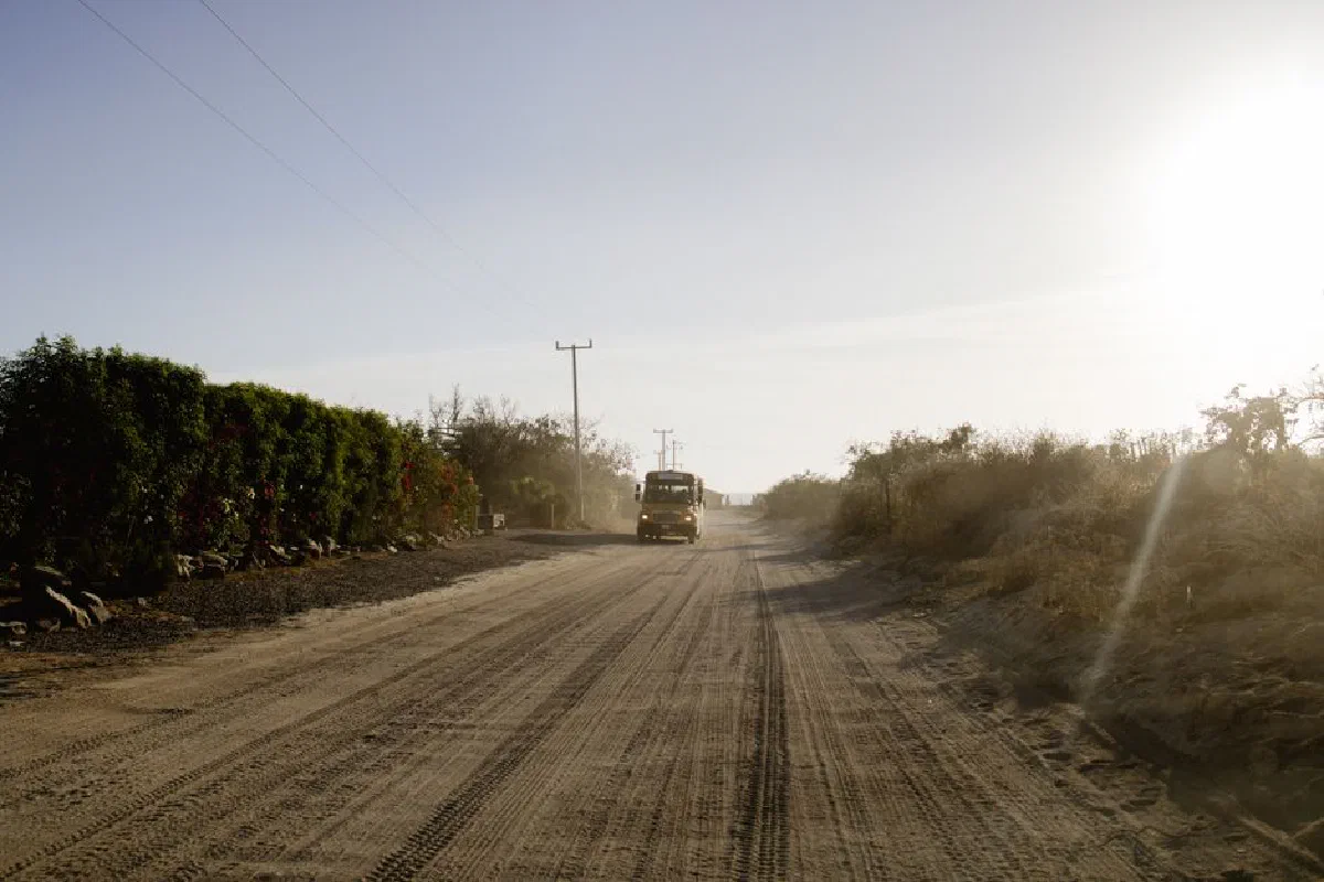 A bus travels on a sunlit dirt road surrounded by bushes and trees in rural Casa Cyrene, Mexico at sunset.