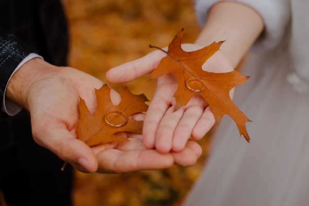 Close-up of wedding rings on oak leaves held by a couple's hands during autumn.