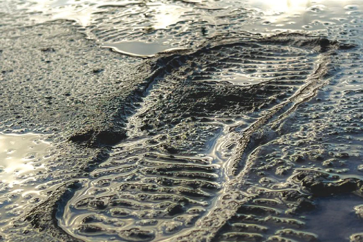 Close-up of a detailed shoeprint in mud with water reflections, capturing texture and outdoor elements.