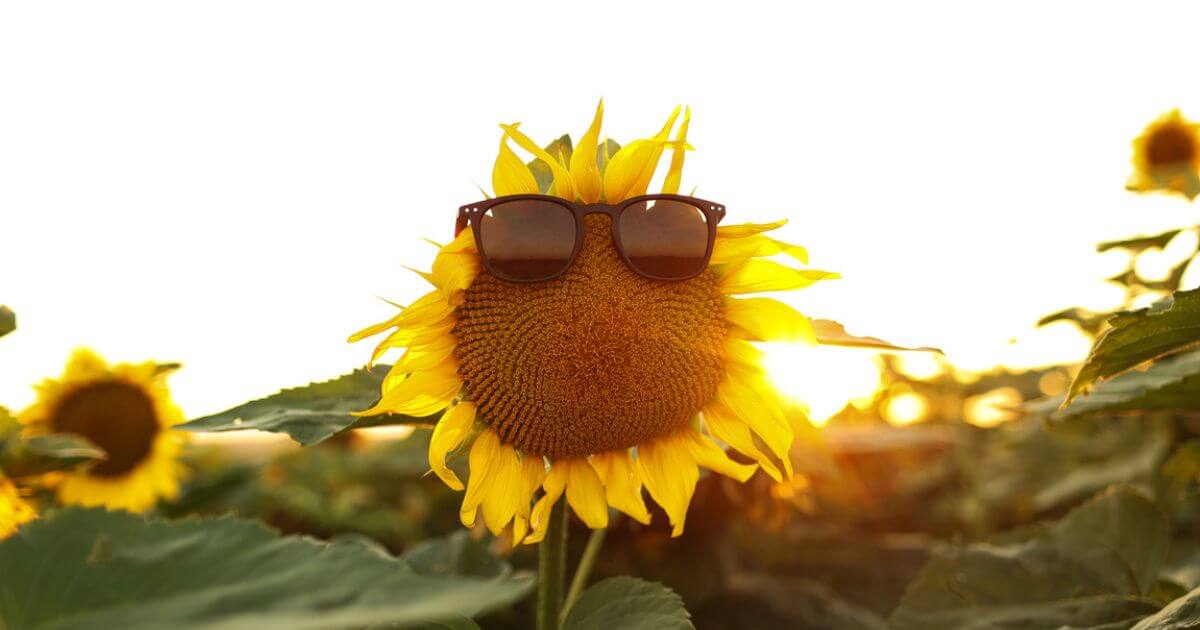 Joking—Is it a sin? What does the Bible say about jokes?