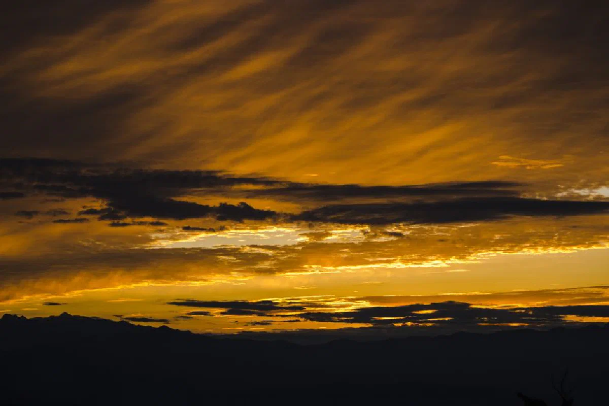 Captivating golden hour sky with dramatic clouds forming a stunning silhouette view.