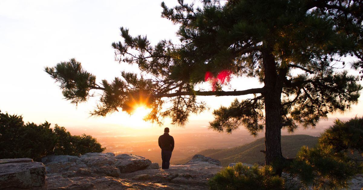 What is the significance of God saying, 'Let us make man in our image' in Genesis 1:26?