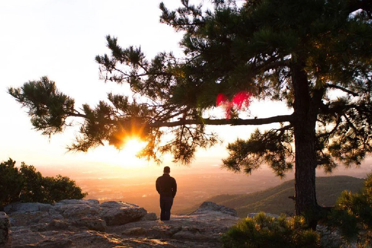 What is the significance of God saying, 'Let us make man in our image' in Genesis 1:26?
