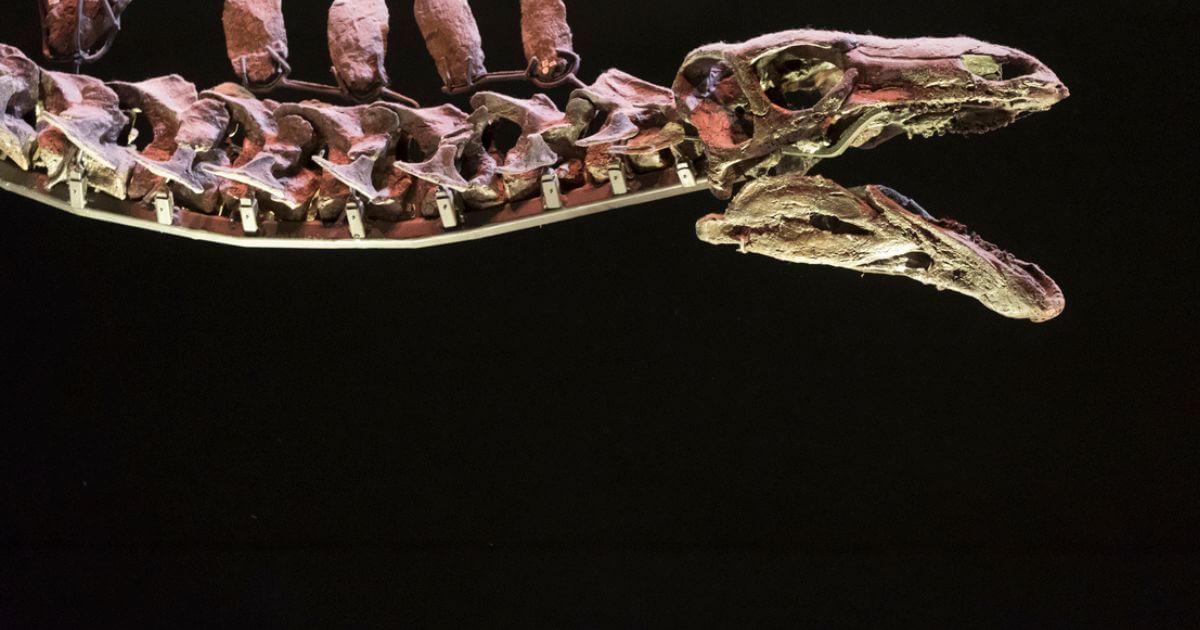 What was the leviathan the Bible talks about?