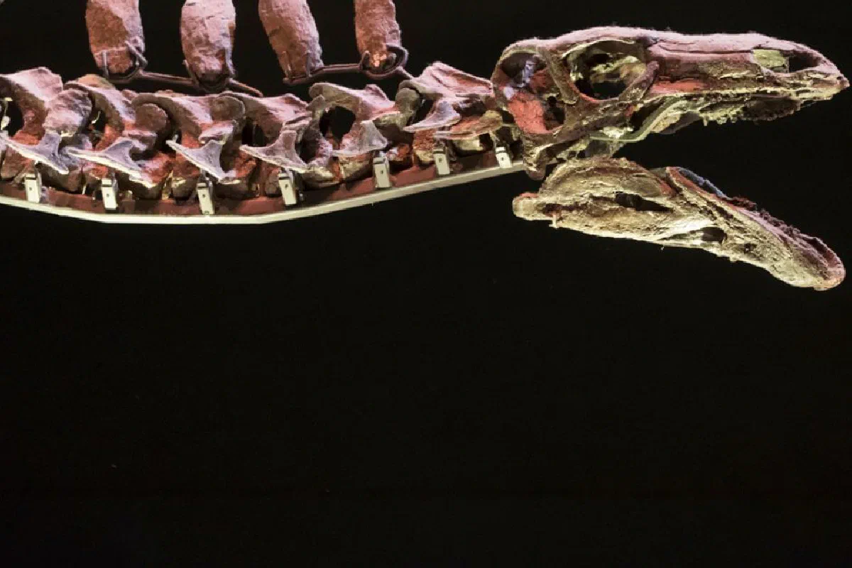 What was the leviathan the Bible talks about?