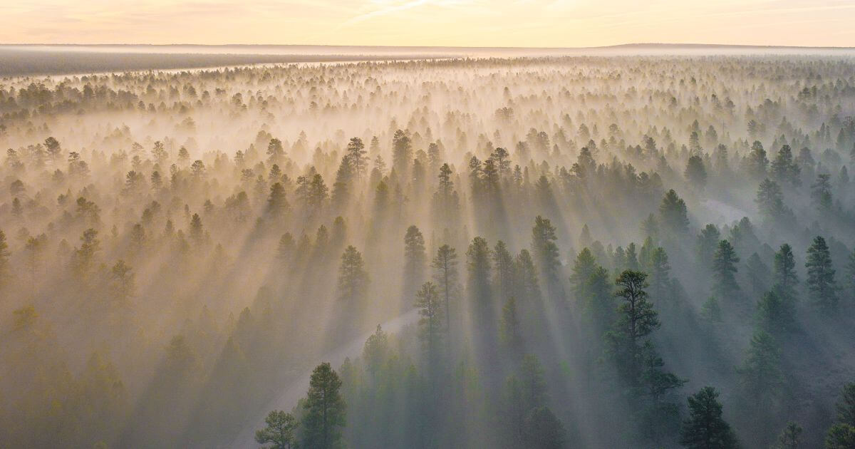 What does James 4:14 mean that life is a vapor?