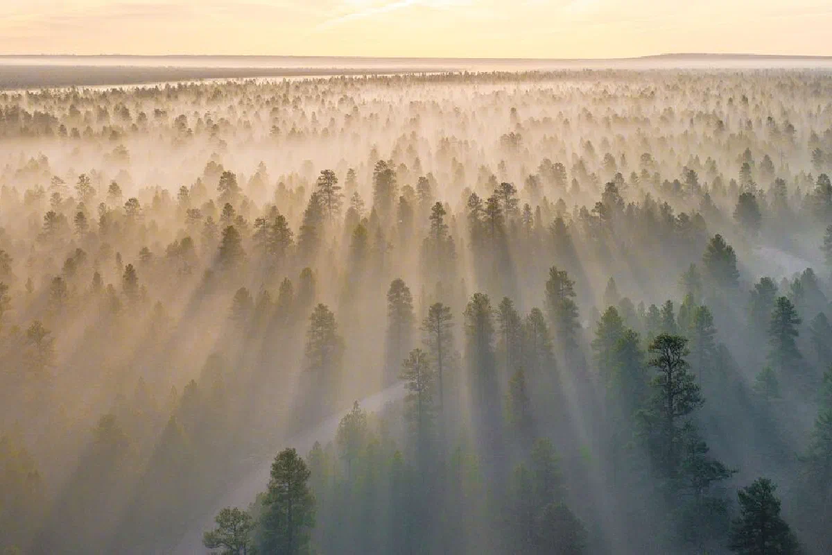 What does James 4:14 mean that life is a vapor?