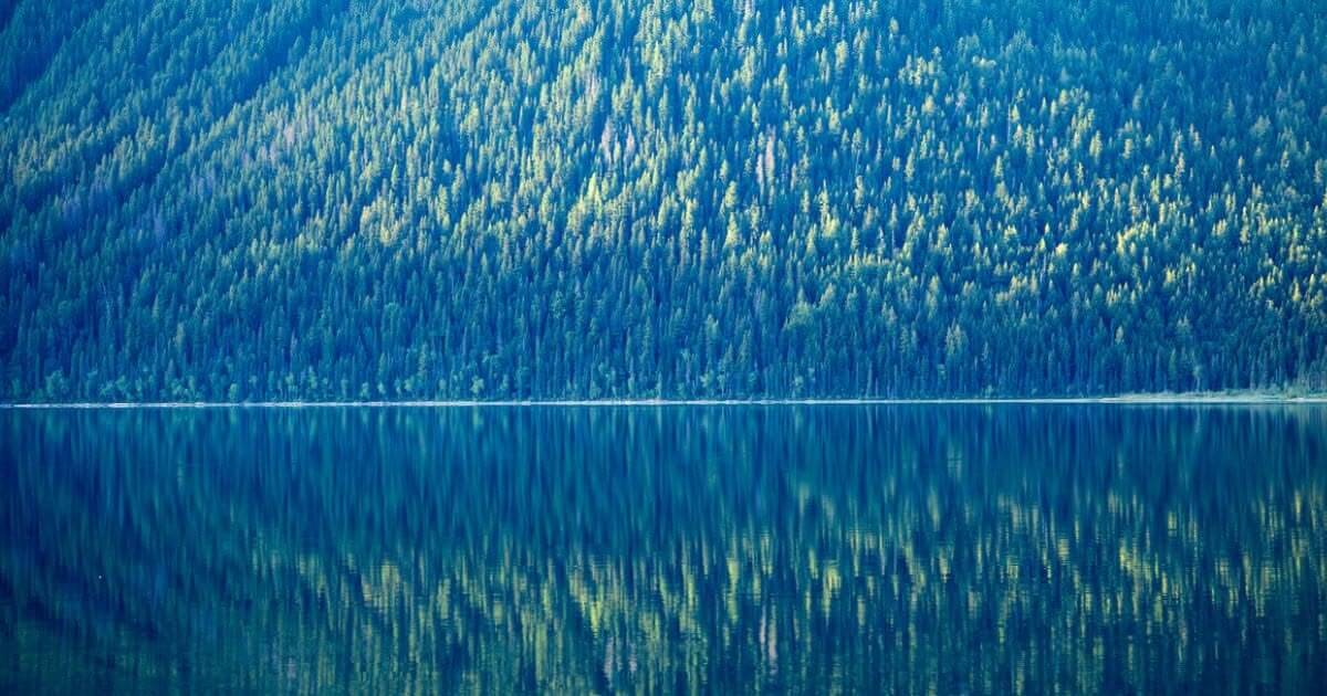 What does it mean to be like a tree planted by water (Psalm 1:3; Jeremiah 17:8)?