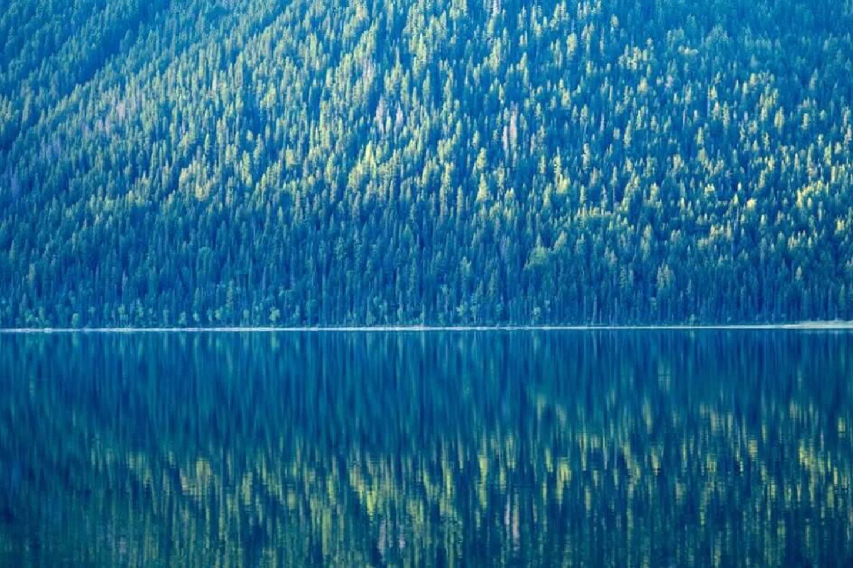 What does it mean to be like a tree planted by water (Psalm 1:3; Jeremiah 17:8)?